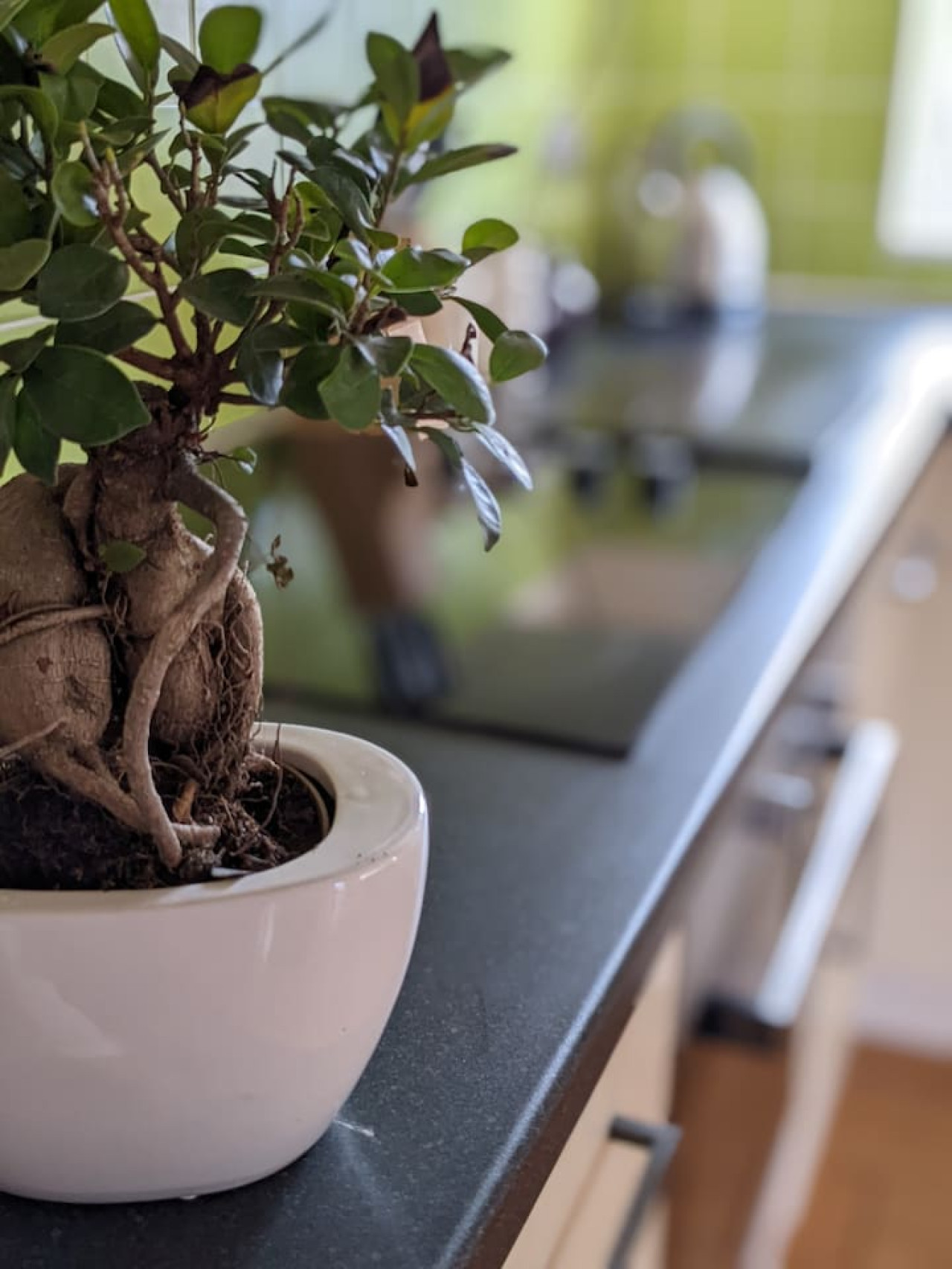 an-idyllic-countryside-cottage-stay-near-the-sea/