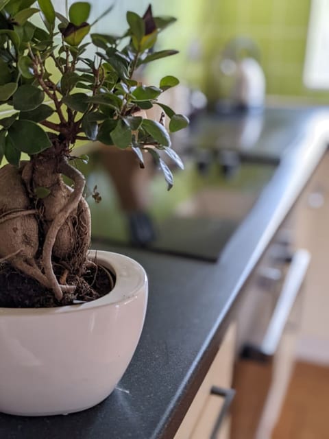 An idyllic Countryside Cottage Stay, near the Sea