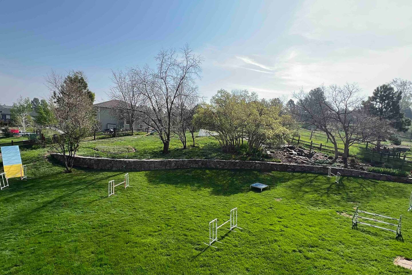 You may get to watch train agility with our dogs. I may have agility equipment in the yard, while you're here. 