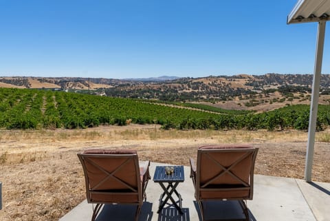 Sip and Stay: Optio Vineyards