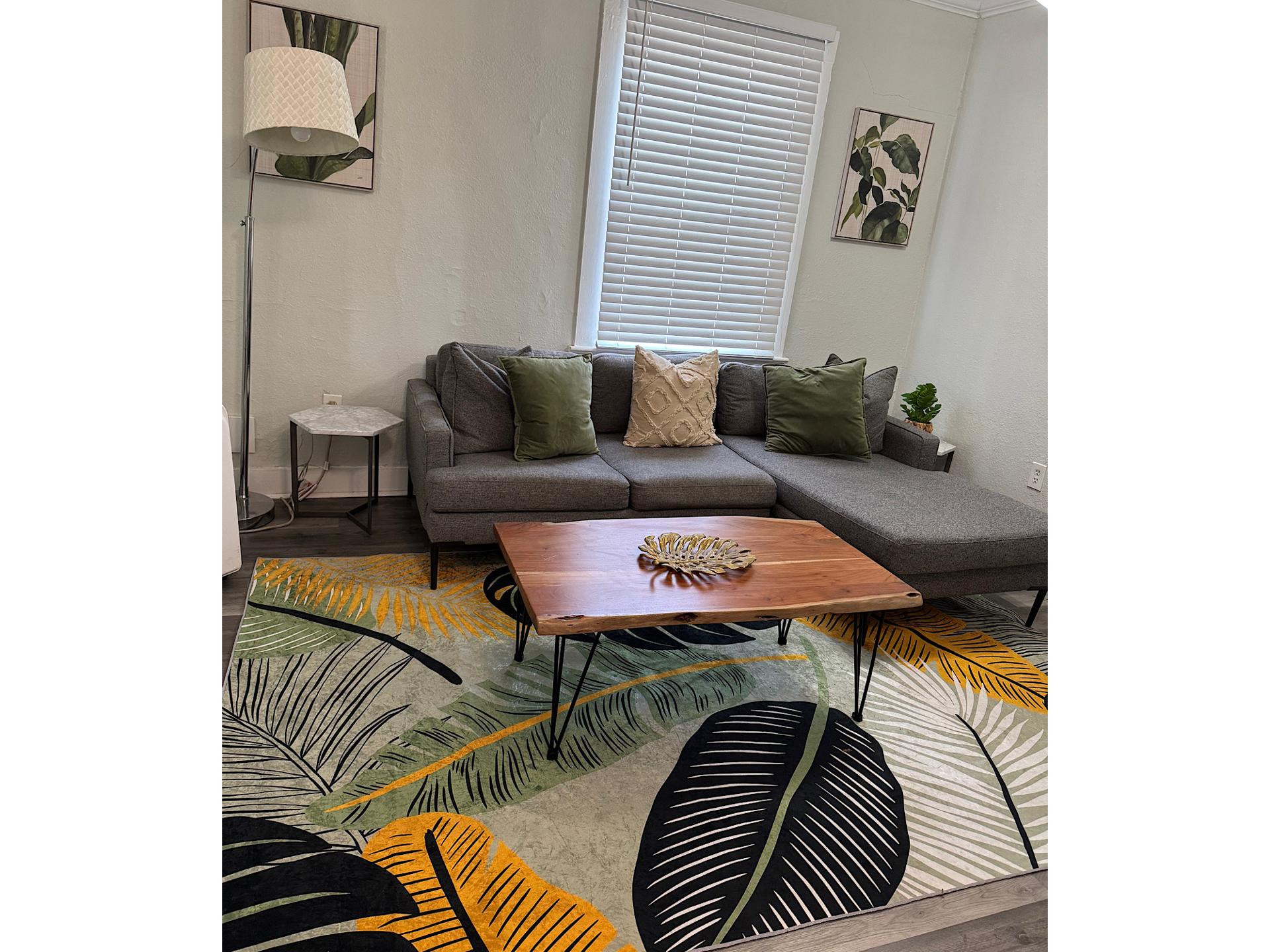 Thornton park paradise 1 bedroom Lake Eola