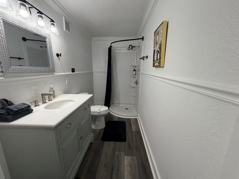 Historic Home Lake Eola 1 Bedroom oasis Thornton Park
