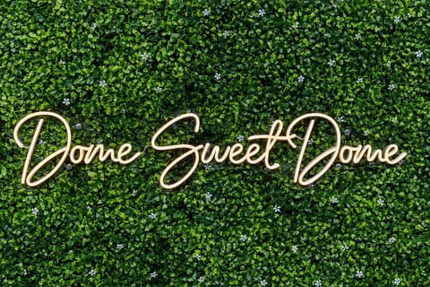 Neon wall sign on a green backdrop for your social media posts. Tag us at #WhiteSandsDome