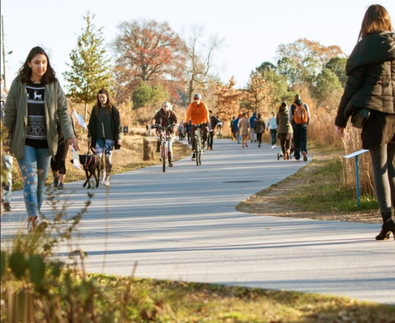 tranquil-intown-retreat-or-inman-park-or-local/