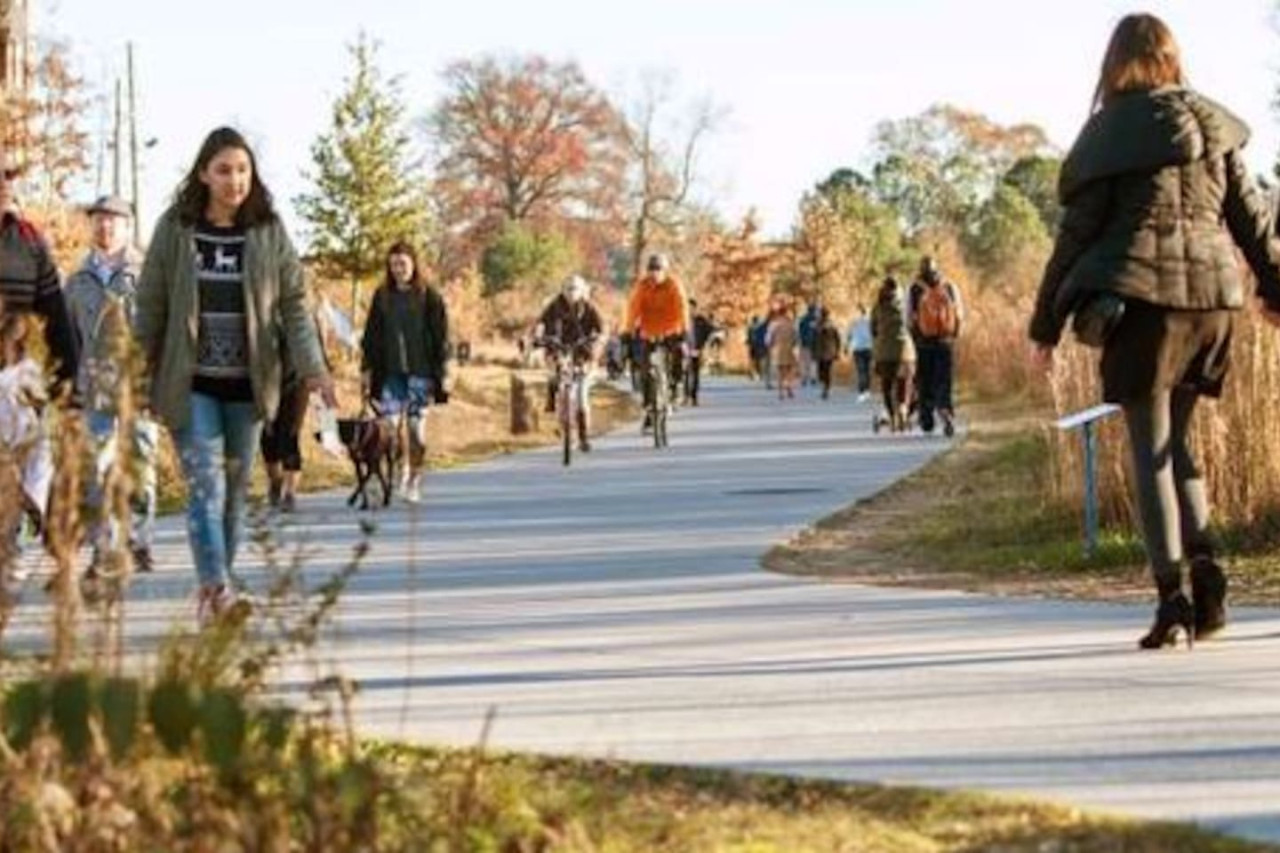 Dreamy Apartment | Inman Park | LOCAL - Atlanta