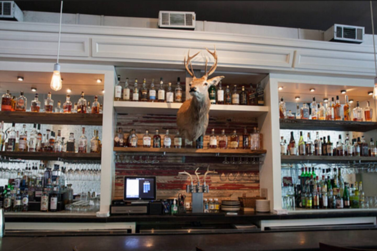 Peaceful Apartment | Inman Park | LOCAL - Atlanta