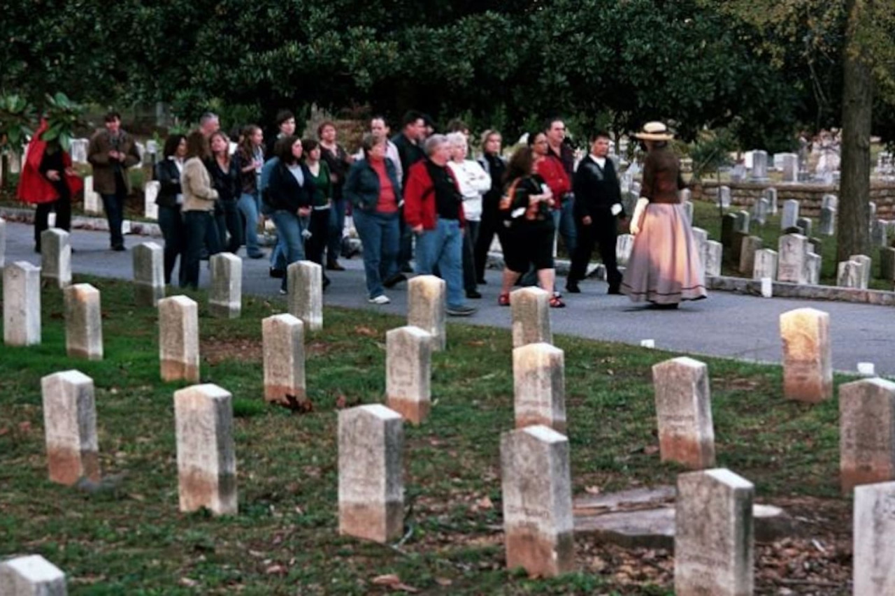 Peaceful Apartment | Inman Park | LOCAL - Atlanta