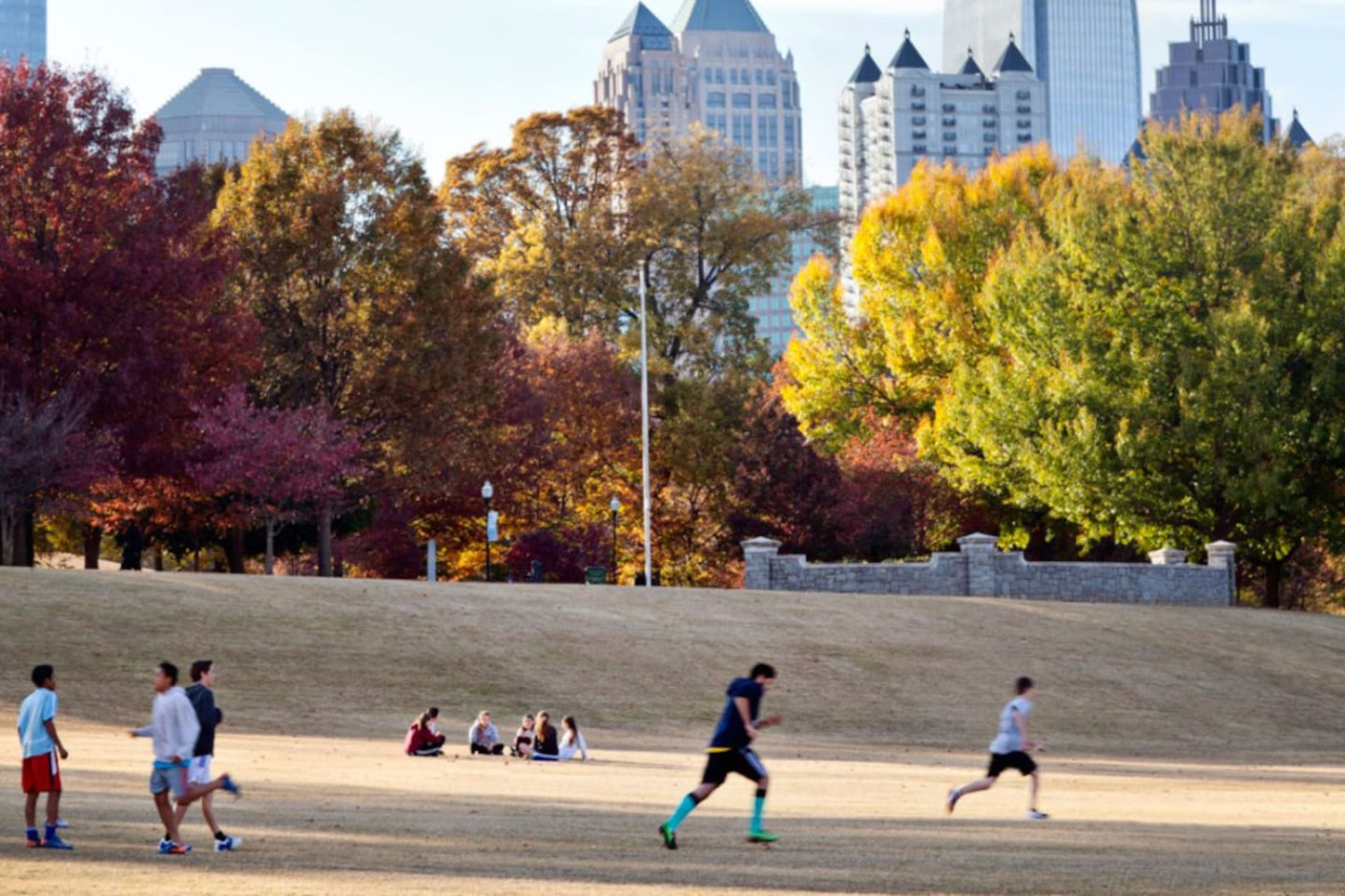 Cozy and Chic Apartment | Inman Park | LOCAL - Atlanta