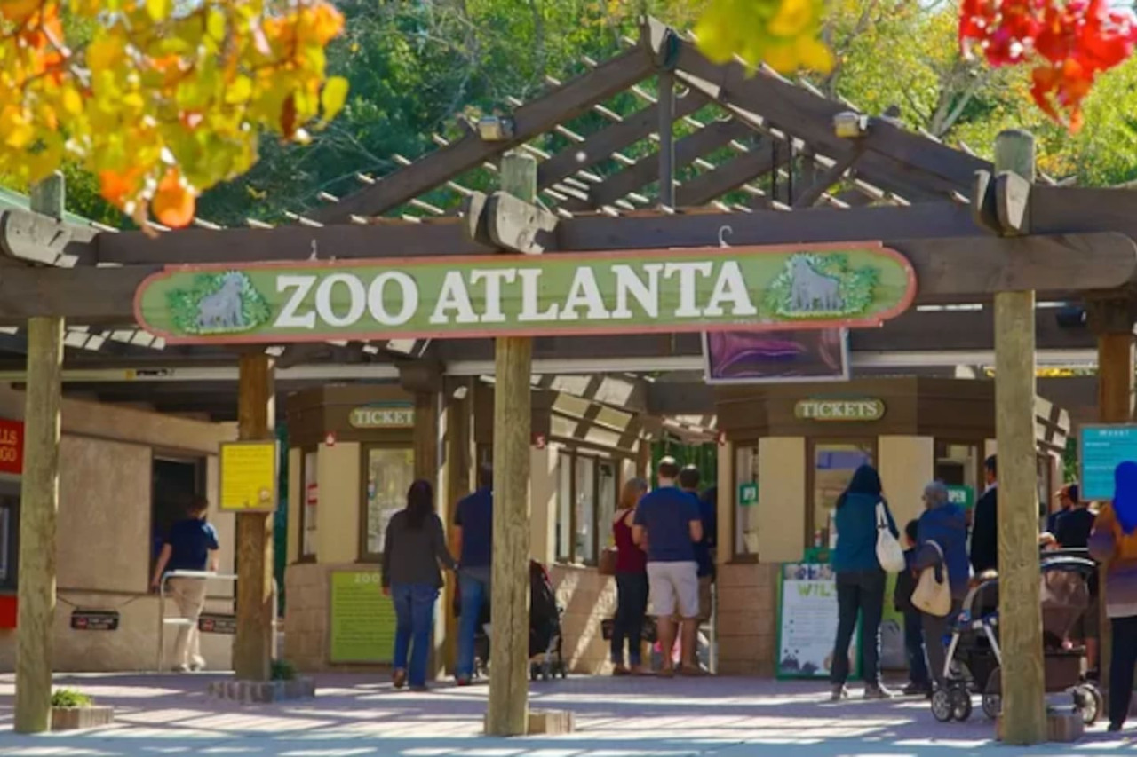 Cozy Hideaway | Kirkwood | LOCAL - Atlanta