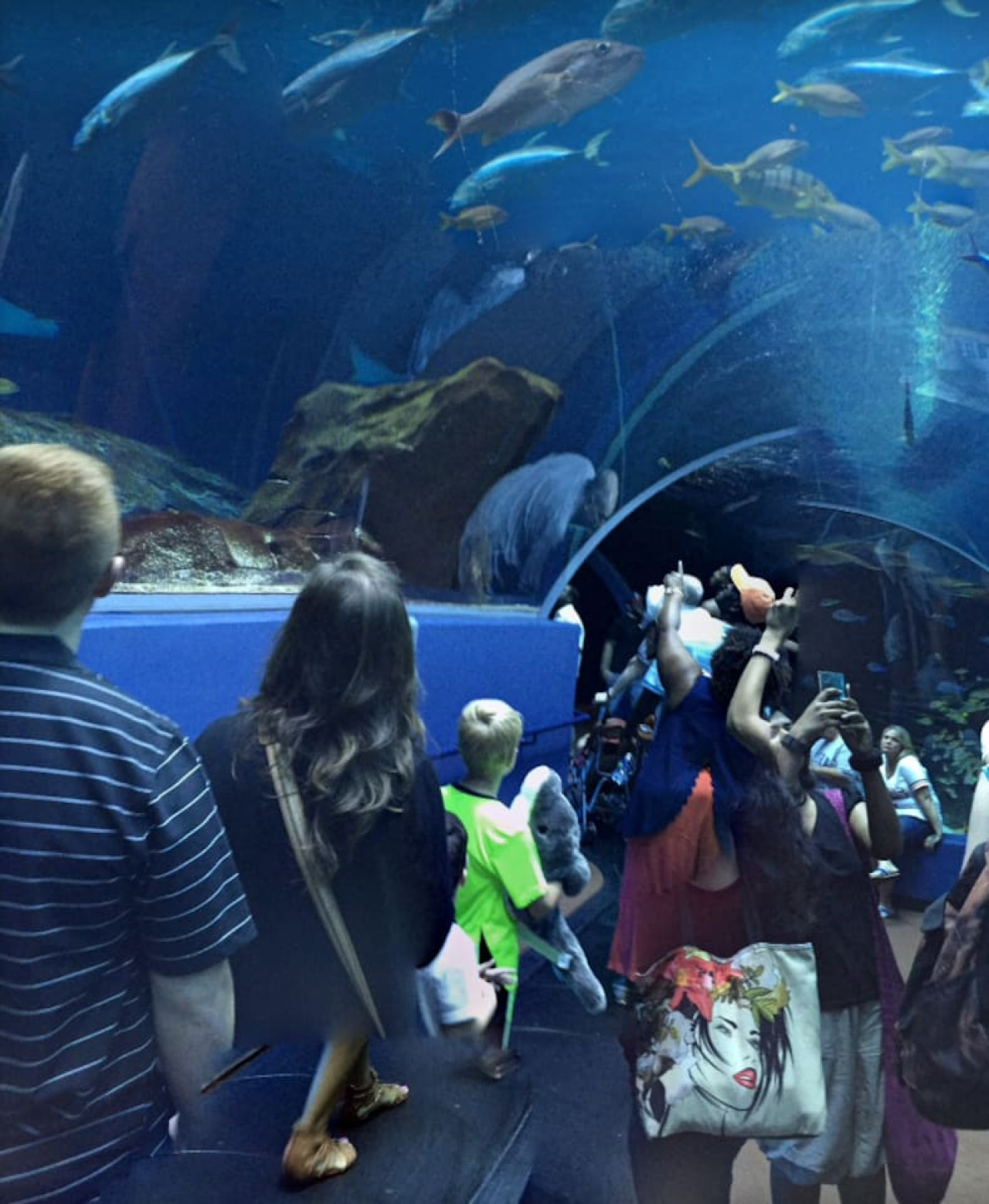 Cozy Hideaway | Kirkwood | LOCAL - Atlanta