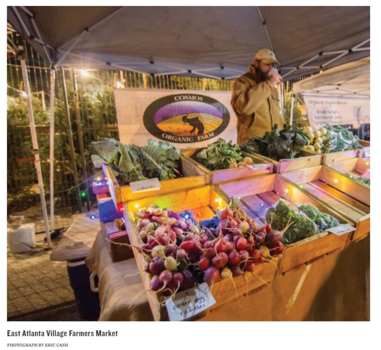 Cozy Hideaway | Kirkwood | LOCAL - Atlanta