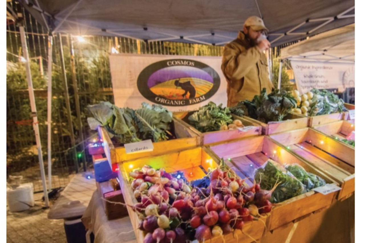 cozy-and-chic-haven-or-east-atlanta-or-local/