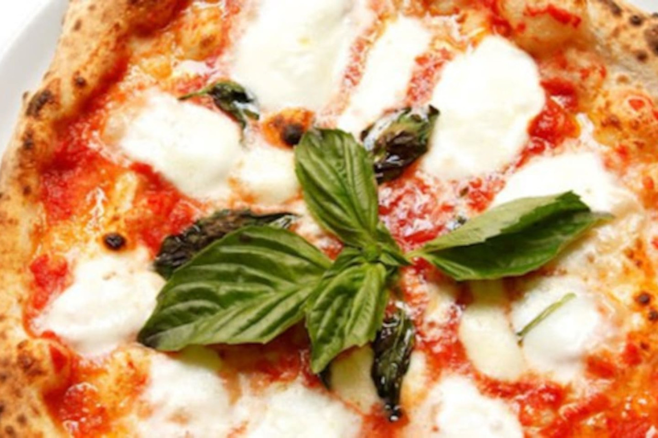 Serene & Sunny Suite | Inman Park | LOCAL - Atlanta