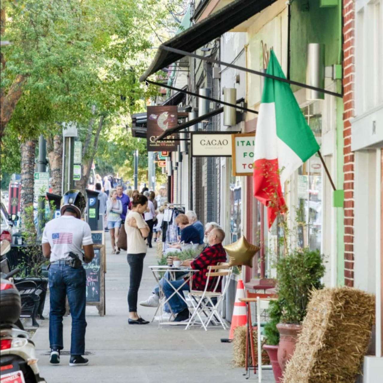 lush-and-lovely-flat-or-virginia-highland-or-local/