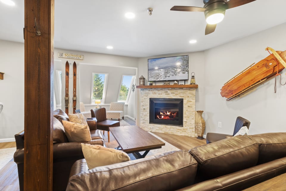 Living Room Area