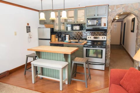 ML217 Slope Side Retreat Close to Village Ballhooter EZ Park WiFi Sleeps 4