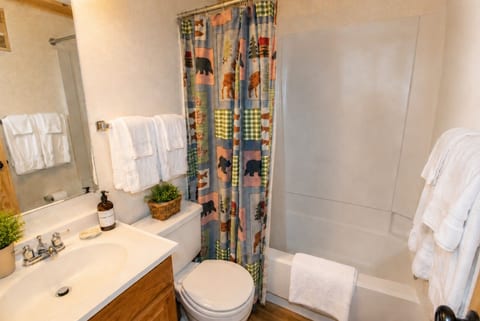 ML132 Rustic Condo Mountain Views 1st Floor Wi-Fi Parking