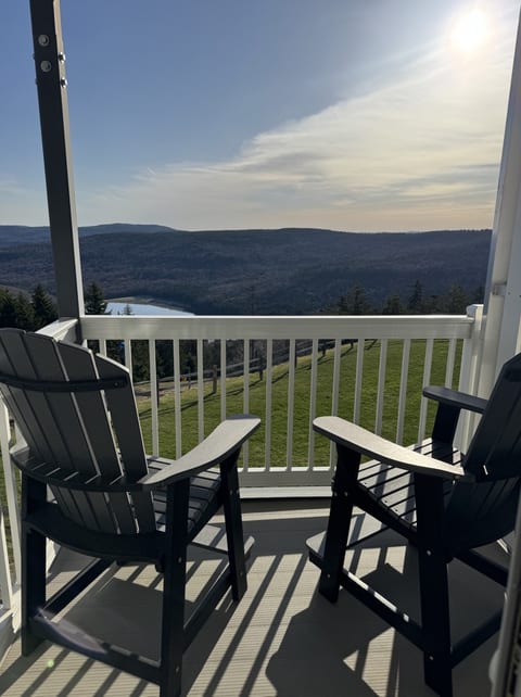 ML150 1BR 1BA Family Friendly Mountain View - Connects to ML148 (rented separately)