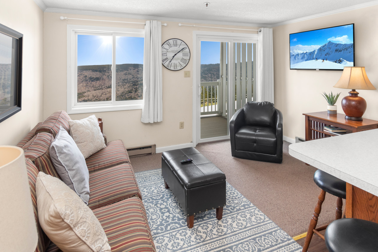 ML150 1BR 1BA Family Friendly Mountain View - Connects to ML148 (rented separately)