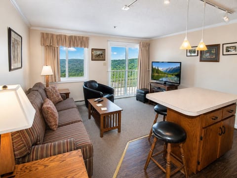 ML150 1BR 1BA Family Friendly Mountain View - Connects to ML148 (rented separately)