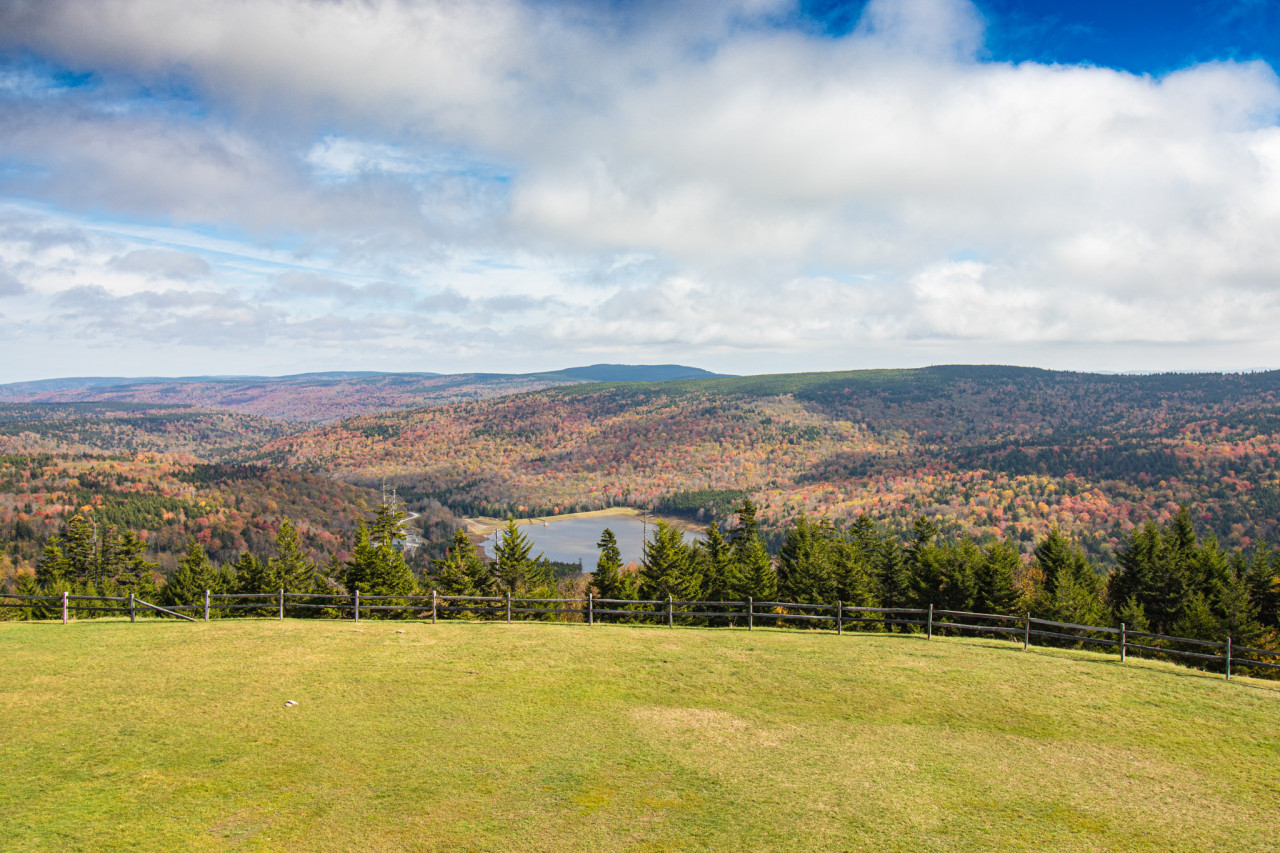 Mountain Lodge's beautiful backyard