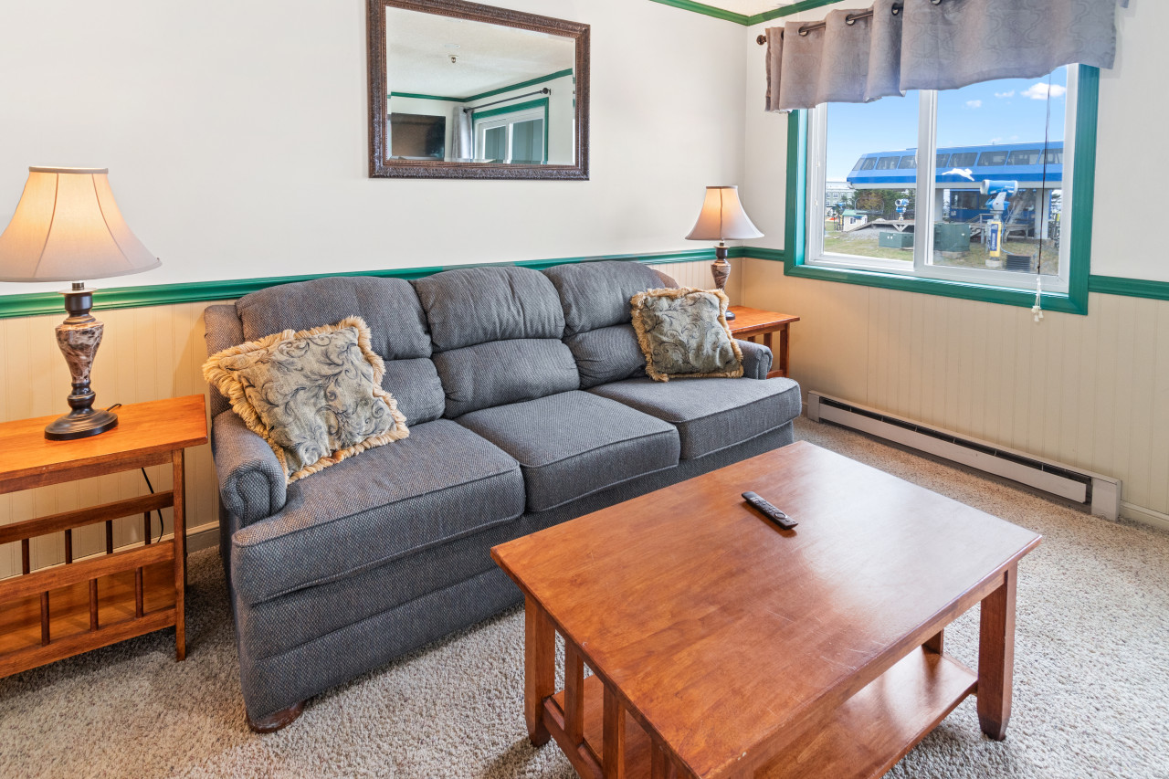 Foldout couch sleeps 2