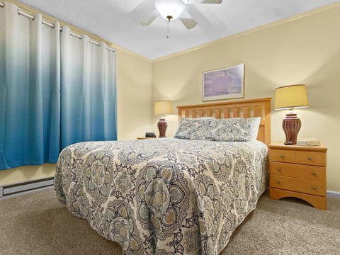 ML238 Breathtaking Mountain View Skiers Bliss WiFi Gated Parking Lot