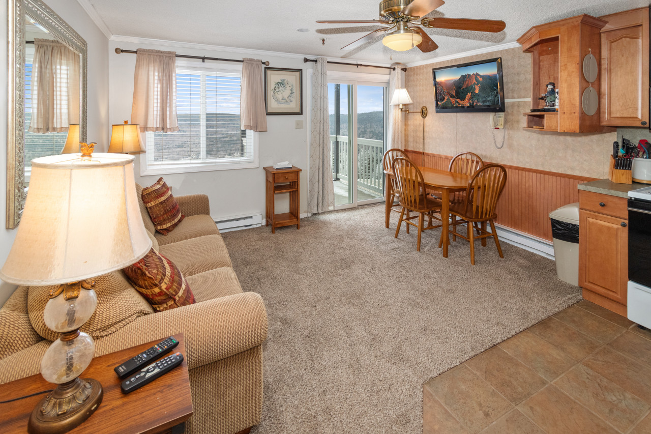 ML266 Quick Slope Access! 1BR/1BA Near the Village EZ Parking Wi-Fi CLEAN!