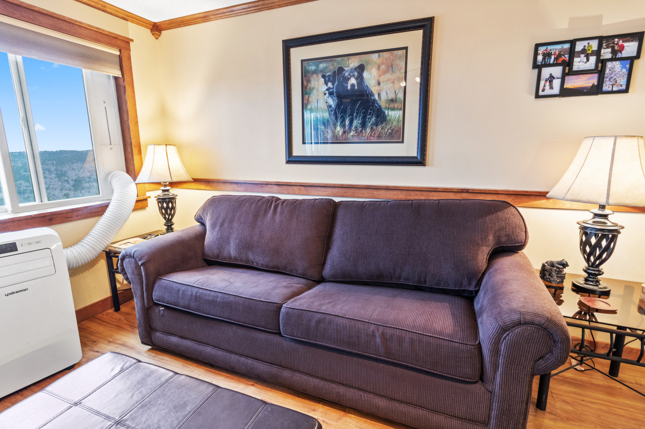 Comfortable and relaxing foldout couch.