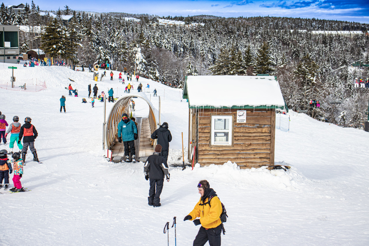 Skiing and snowboarding