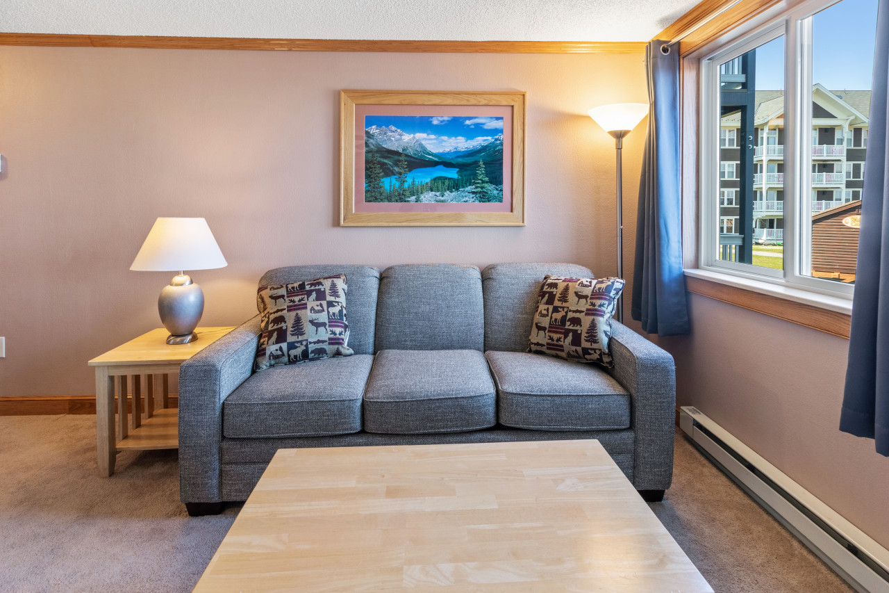 Foldout couch sleeps 2