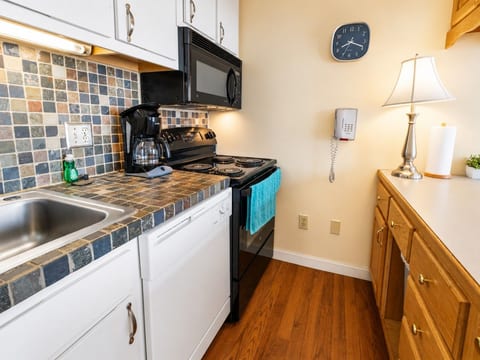 ML320 Light & Bright! Mountain View Comfortable Near Village & Lift WiFi