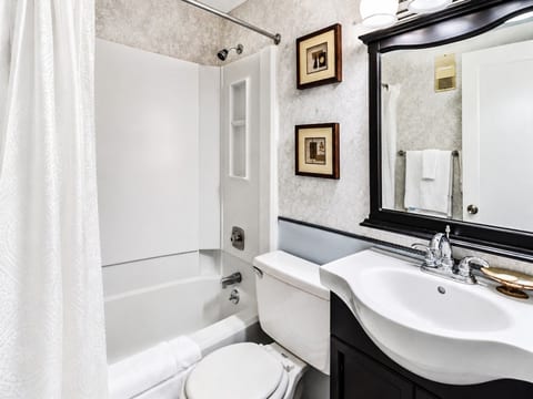 ML320 Light & Bright! Mountain View Comfortable Near Village & Lift WiFi