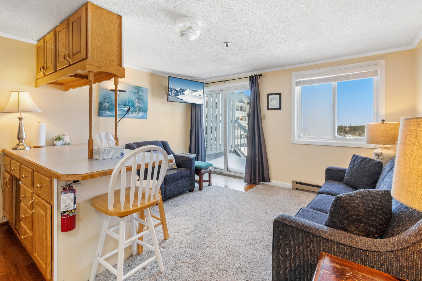 ML320 Light & Bright! Mountain View Comfortable Near Village & Lift WiFi