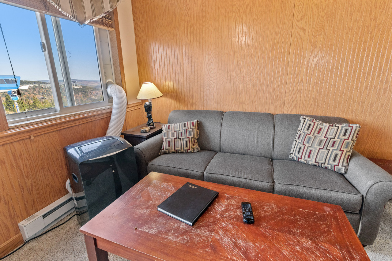 Foldout couch sleeps 2