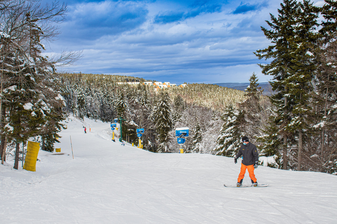 Skiing and snowboarding