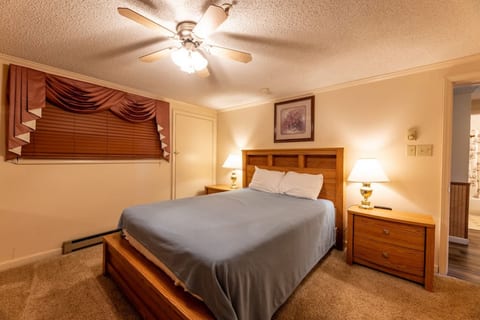 Queen size bed with ceiling fan