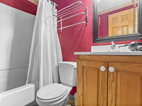 Master bath with hair dryer