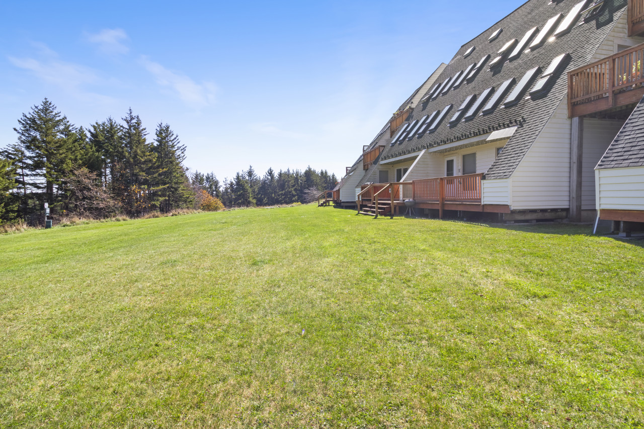 Leather Bark Outside View
