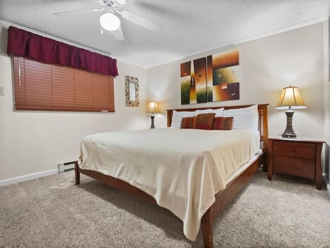 ML365 Slope Side Getaway in Snowshoe 2BR/2BA WiFi