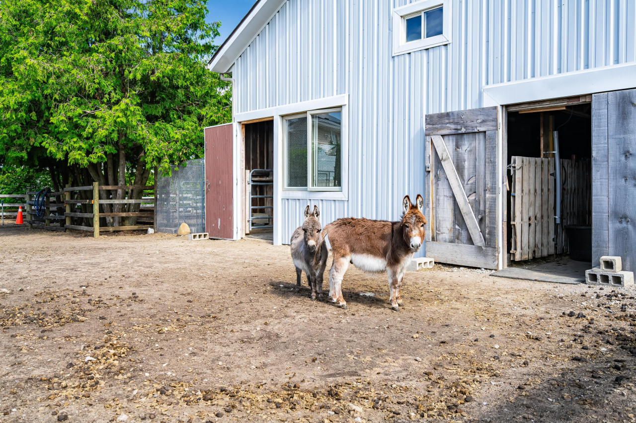 the-stone-house-farm-stay/