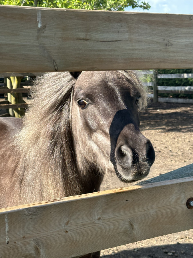 the-stone-house-farm-stay/