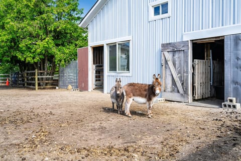 The Stone House Farm Stay