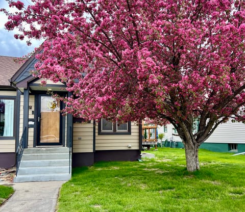 Black Diamond Bungalow