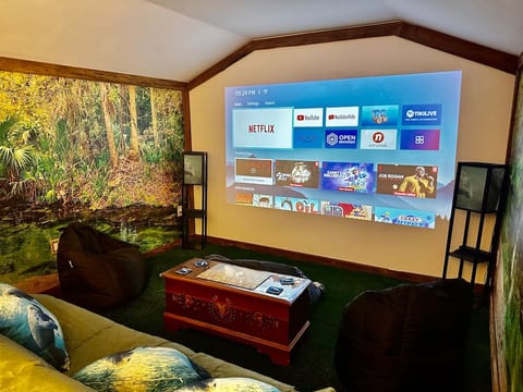 Custom built projector movie theater where you can sign into your streaming services and play games, movies and music. Three bean bags, sofa bed and recliner with a kitchenette.