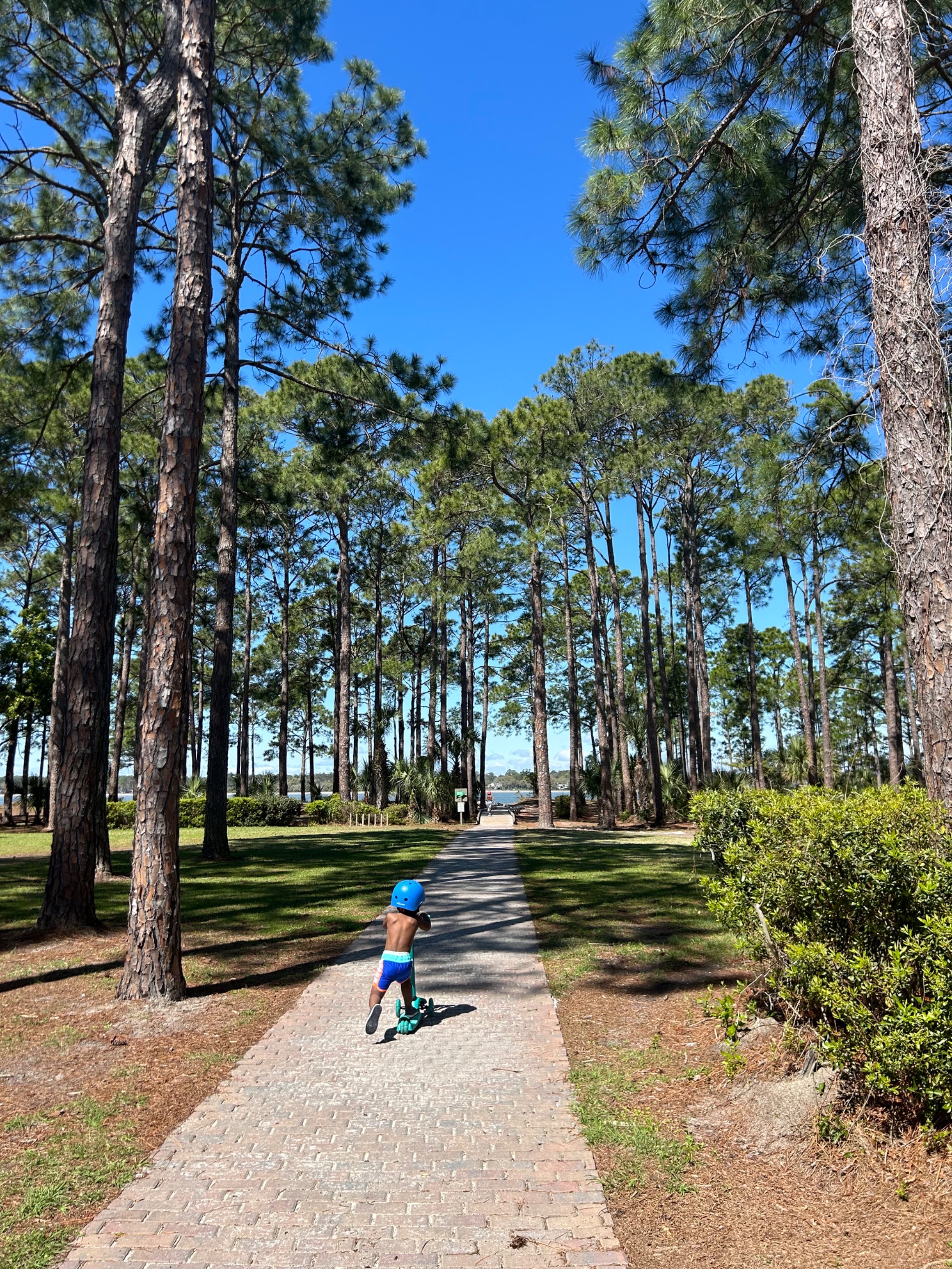 Path to our beach - 4 minute walk Path to our beach - 4 minute walk - Sea Pines at South Beach - Hilton Head Island