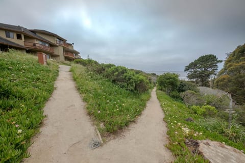 Walkway to the beach