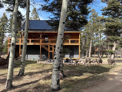 The greenbelt behind the cabin attracts frequent wildlife visitors.