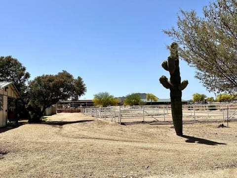 Casita at gorgeous Horse Ranch