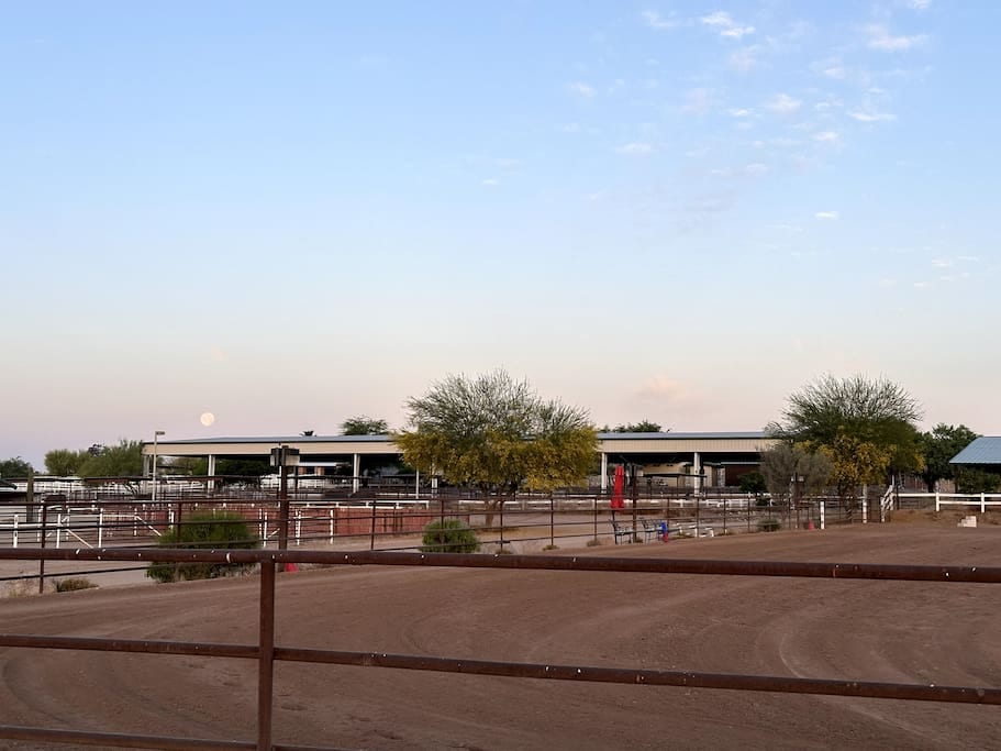Working Horse Ranch Retreat - Scottsdale